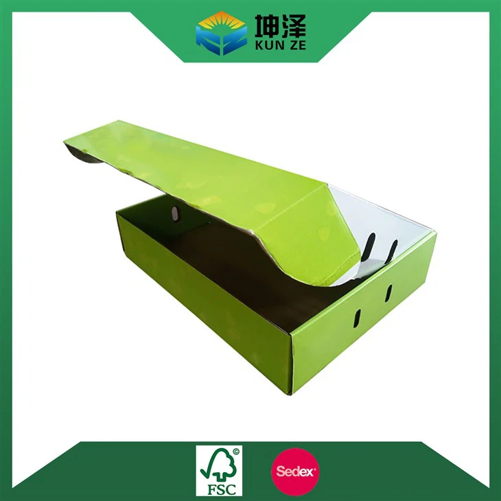 Scallion Packaging Box