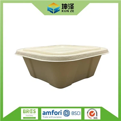 Hộp đựng dùng một lần vuông