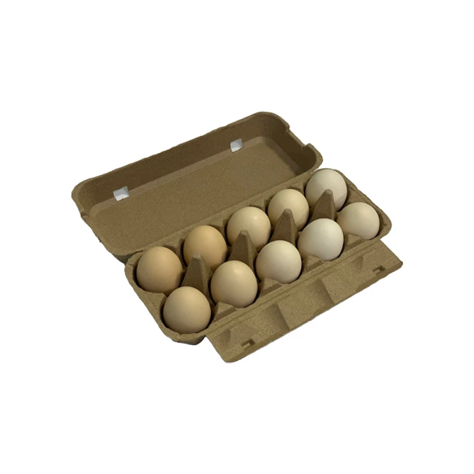 Egg Carton Packaging