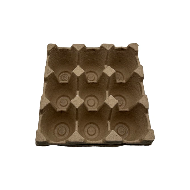 Egg Tray Packaging