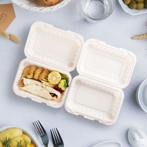 biodegradable lunch box 09 biodegradable lunch box 09