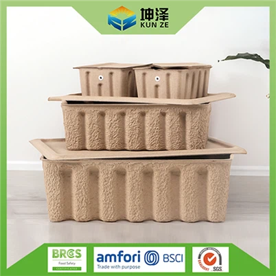 Hộp đựng bột giấy